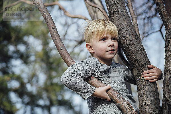 Junge schaut weg  während er auf einem Baum steht