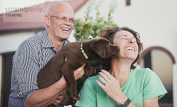 Glückliches reifes Paar spielt mit Hund im Hof