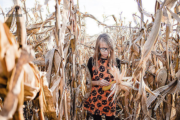 Mädchen hält Mais  während sie auf dem Bauernhof gegen den Himmel steht