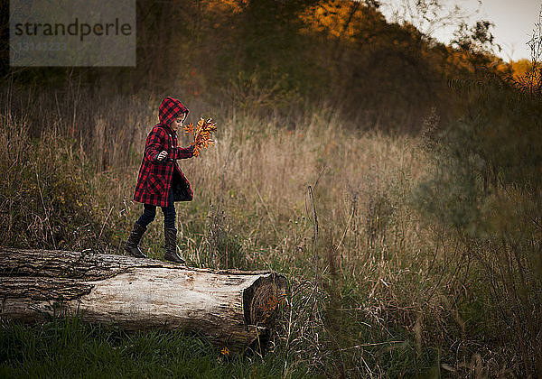 Seitenansicht eines Mädchens  das Blätter hält  während es auf einem Baumstamm im Park geht