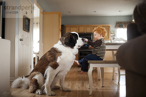 Seitenansicht eines kleinen Jungen  der einen Hund berührt  während er zu Hause auf einem Stuhl sitzt