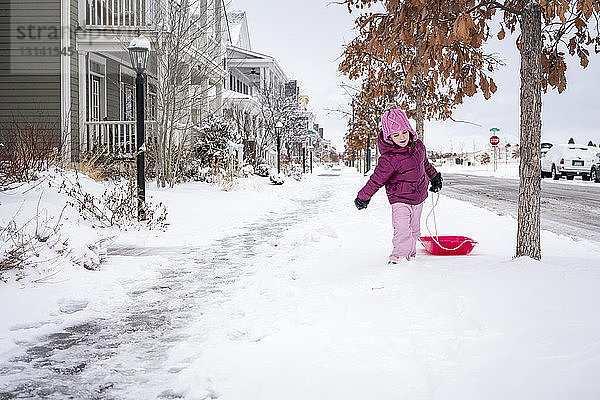 Süßes Mädchen zieht Schlitten  während sie auf schneebedeckter Straße läuft