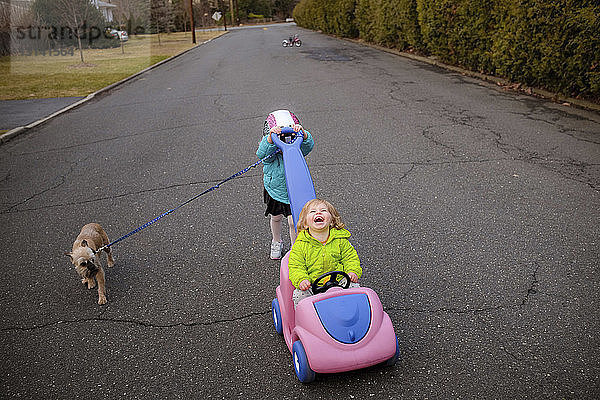 Freunde spielen mit Spielzeugauto mit Hund auf der Straße im Park