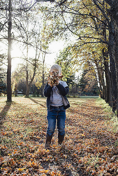 Verspielter Junge hält sich im Park Herbstblätter ins Gesicht