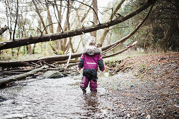 Rückansicht eines Mädchens  das am Bach im Wald spazieren geht