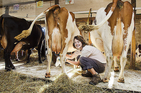 Porträt einer glücklichen Frau  die eine Kuh melkt