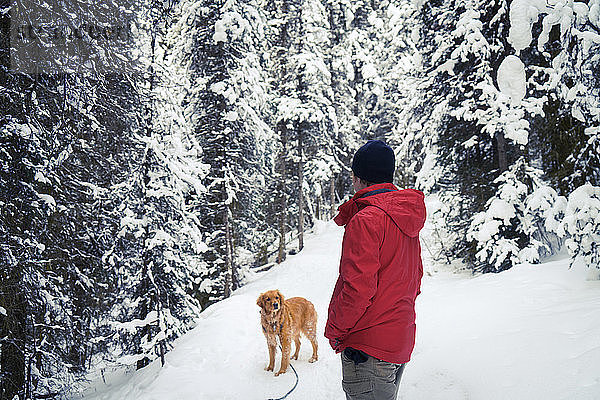 Seitenansicht eines Wanderers mit Golden Retriever auf einem schneebedeckten Feld im Wald
