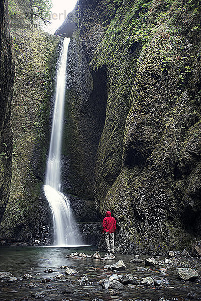 Rückansicht eines Menschen  der einen Wasserfall im Wald betrachtet