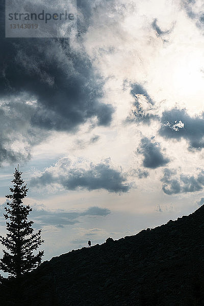 Tiefwinkelansicht des Silhouettenbaums auf dem Berg gegen den Himmel