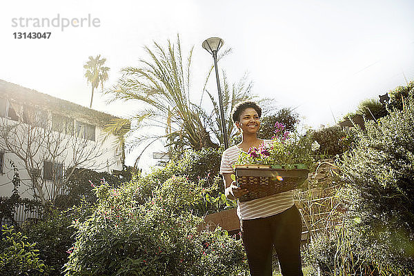 Glückliche Frau schaut weg  während sie eine Pflanzenkiste im Gemeinschaftsgarten trägt