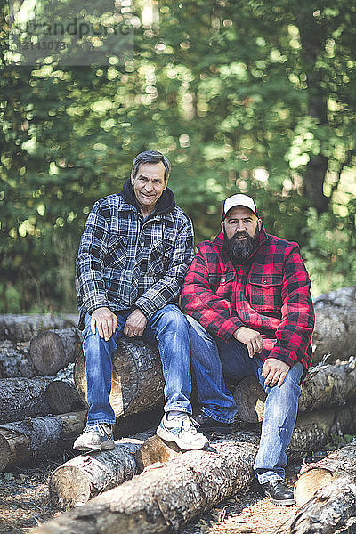 Porträt von Freunden auf Baumstämmen im Wald sitzend