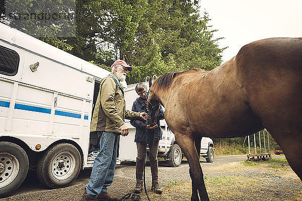 Ärztin untersucht Pferd  während sie mit Mann auf dem Bauernhof steht