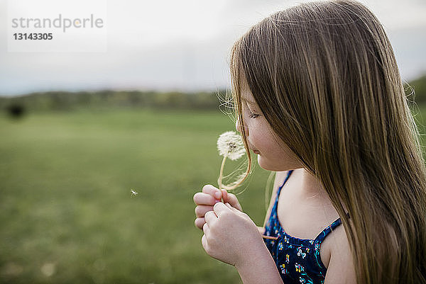 Seitenansicht eines Mädchens mit Löwenzahnblume auf Grasfeld
