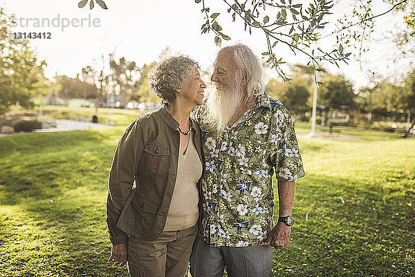 Liebevolles älteres Paar  das sich im Park Auge in Auge gegenübersteht