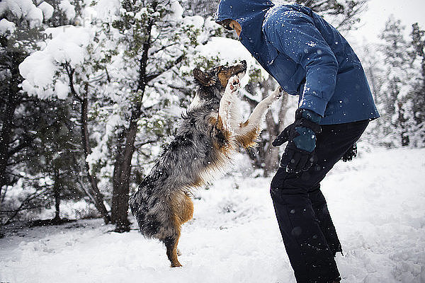 Seitenansicht eines Teenagers  der mit einem Hund auf einem schneebedeckten Feld spielt