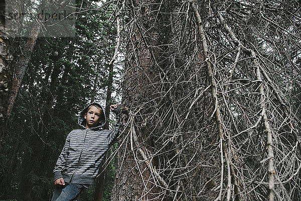Nachdenklicher Junge schaut weg  während er an einem Baum im Wald steht