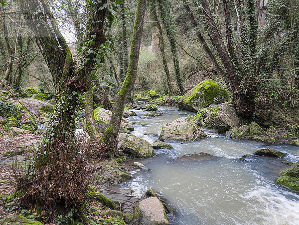 Europa  Italien  Latium  Mazzano Romano  Wasserfälle des Monte Gelato  Fluss Treja