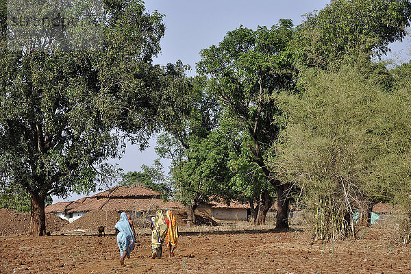 Indien  Orissa  Dorf Baiga