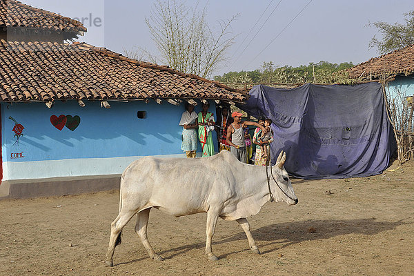 Indien  Orissa  Dorf Baiga