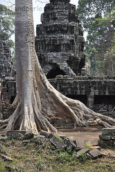 Kambodscha  Angkor Wat