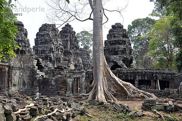 Kambodscha  Angkor Wat
