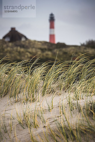 Leuchtturm  Hoernum  Sylt  Schleswig-Holstein  Deutschland  Europa