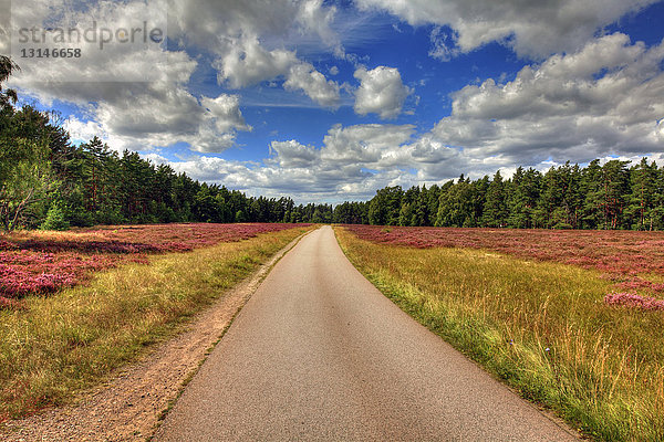 Straße bei Roennerum  Oeland  Götaland  Schweden  Europa