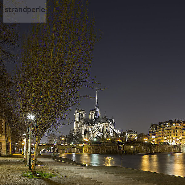 Blick auf Notre Dame und die Seine bei Nacht  Paris  Frankreich