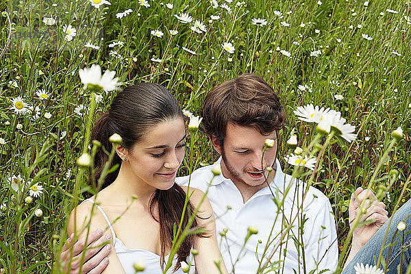 Ehepaar entspannt sich in einem Blumenfeld