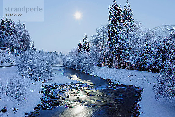 Winterszene mit Mond