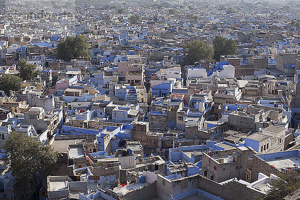 Luftaufnahme der blauen Stadt  Jodhpur  Rajasthan  Indien