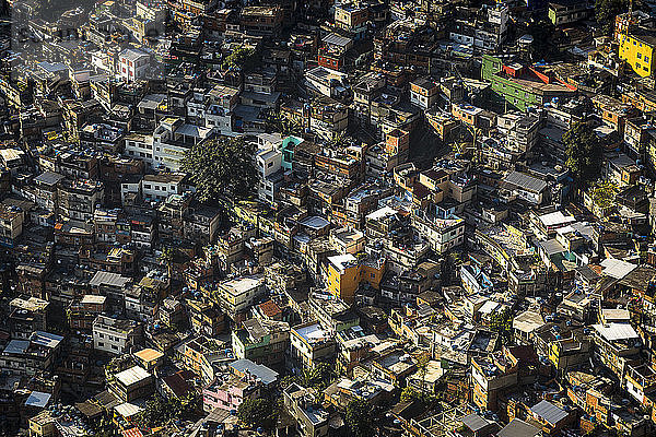 Luftaufnahme über einer überfüllten Favela  Rio De Janeiro  Brasilien