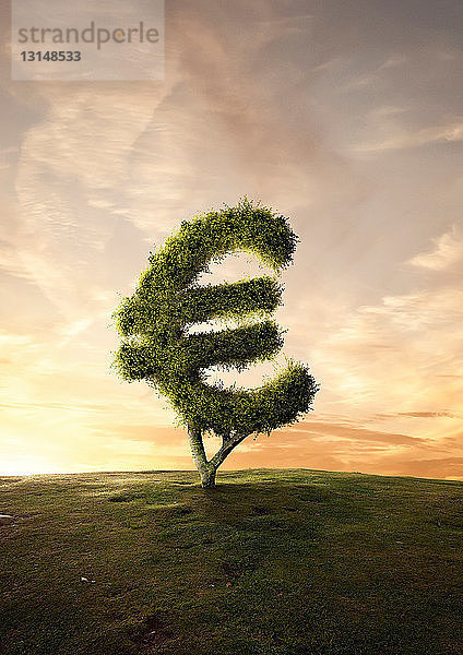 Topiary Baum finanzielle Symbol Euro-Zeichen