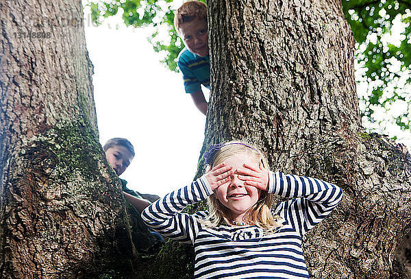 Kinder spielen Verstecken in einem Waldstück