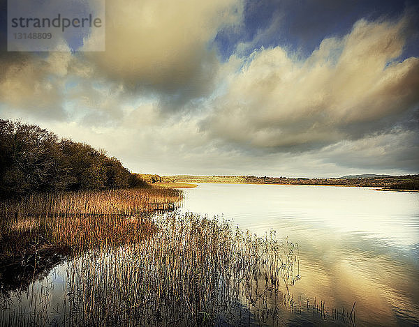Blick auf Boa Island am Loch Erne  Furmanagh  Nordirland  UK