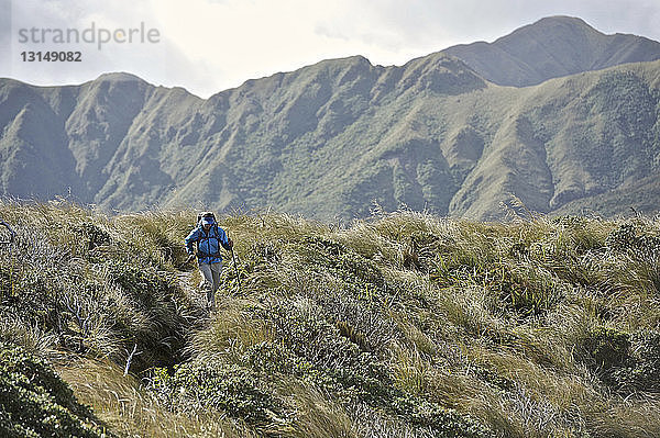 Wanderin beim Wandern in den Bergen  Tararua Ridge  Neuseeland