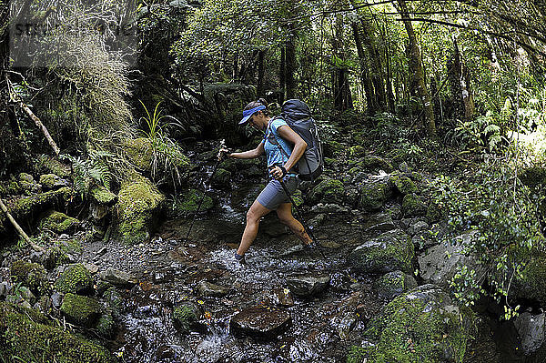 Wanderin beim Überqueren eines Waldbachs  Tararua Ridge  Neuseeland