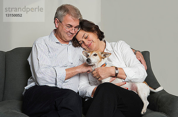 Älteres Paar spielt mit Hund auf Sofa