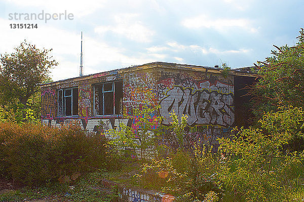 Graffiti an einem stillgelegten Schulgebäude  London  UK