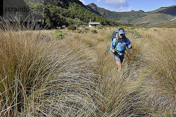 Mittlere erwachsene Frau beim Wandern durch den Kahurangi National Park  Neuseeland