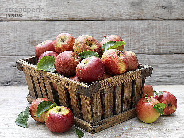 Vintage-Kiste mit frischen Äpfeln auf Holztisch