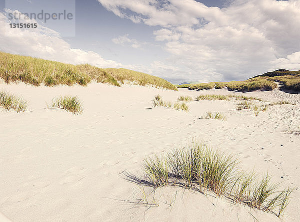 Sanddünen auf der Isle of Barra  Hebriden  Schottland