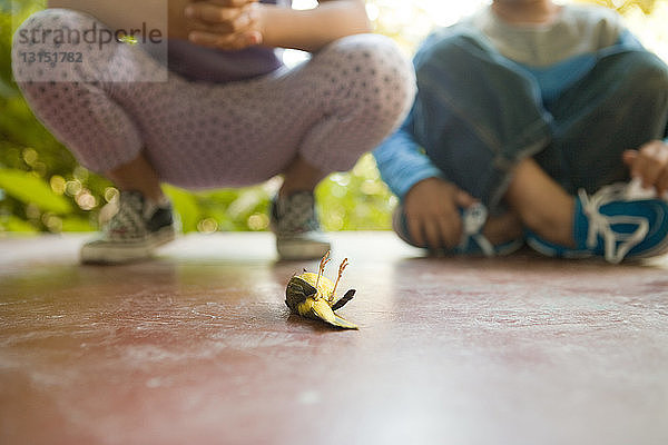 Zwei Kinder betrachten einen toten Vogel