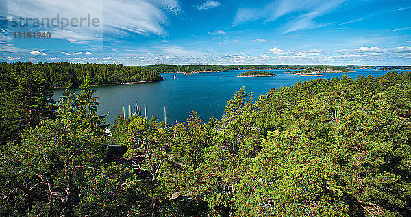 Luftaufnahme von Wald und ländlichem See