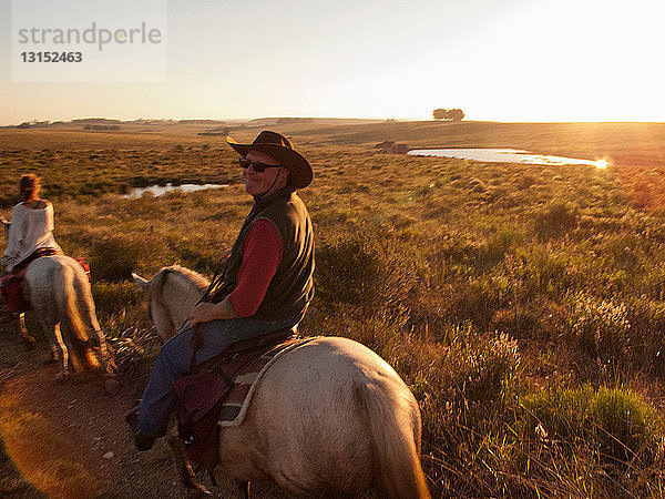 Älterer Mann reitet auf einem Criollo-Pferd  Uruguay