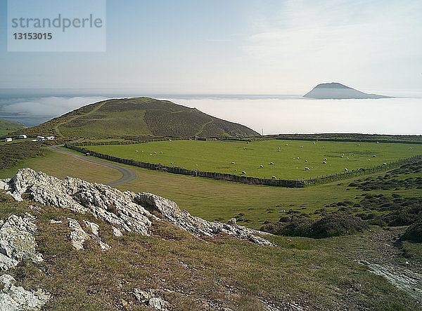 Die Insel Bardsey von der Halbinsel Lleyn  Nordwales