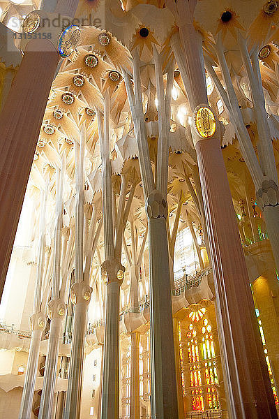 Das Innere von Gaudis Sagrada Familia  Barcelona  Spanien
