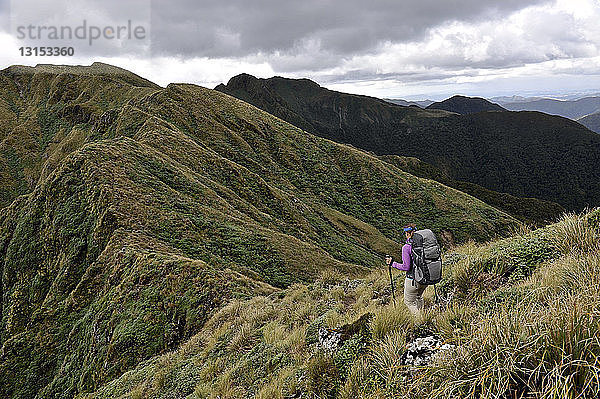 Rückansicht einer Wanderin beim Wandern in den Bergen  Tararua Ridge  Neuseeland