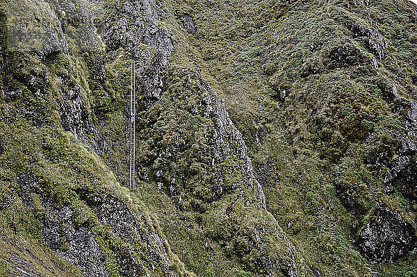 Fernblick auf eine Wanderin  die eine Bergleiter hinaufsteigt  Tararua Ridge  Neuseeland