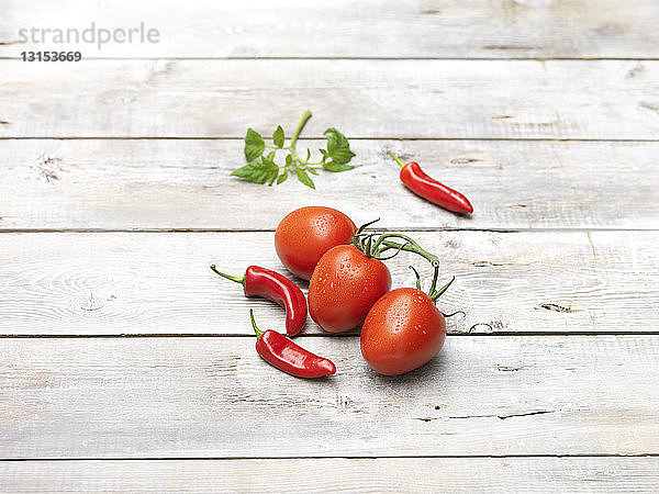 Rote Chili  saftige süße Tomaten  rohes grünes Basilikum